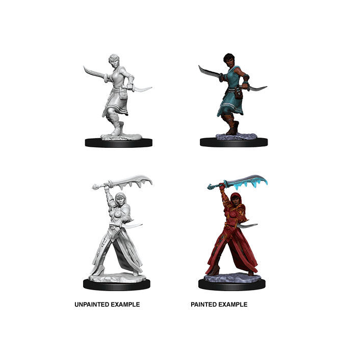 D&D Nolzur's Marvelous Miniatures Human Rogue (Female)