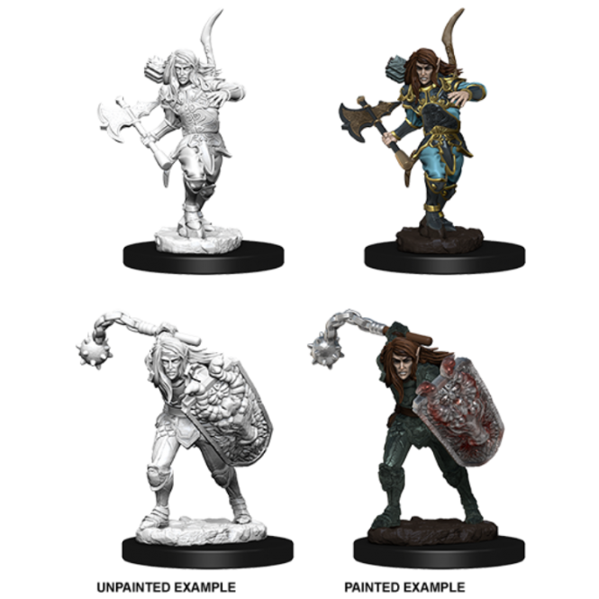 D&D Deep Cuts Pathfinder Battles Male Elf Fighter