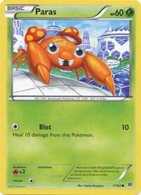 1-paras