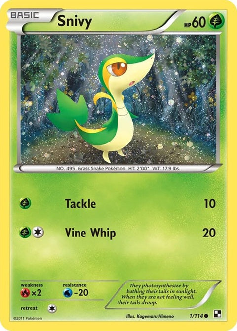 1-snivy-cosmosholo