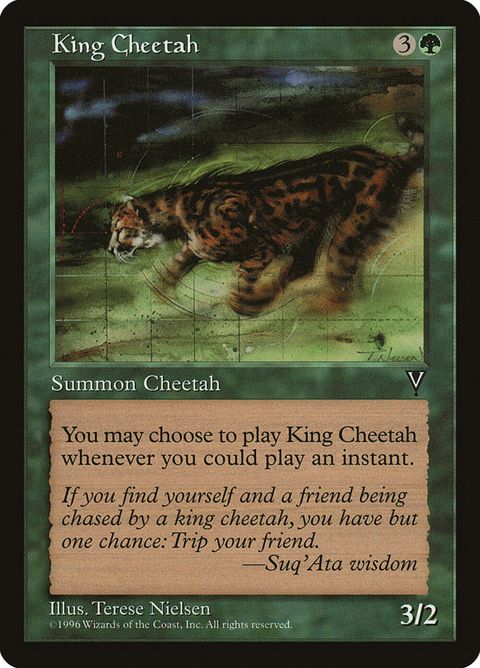 10-kingcheetah