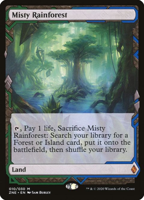 10-mistyrainforest