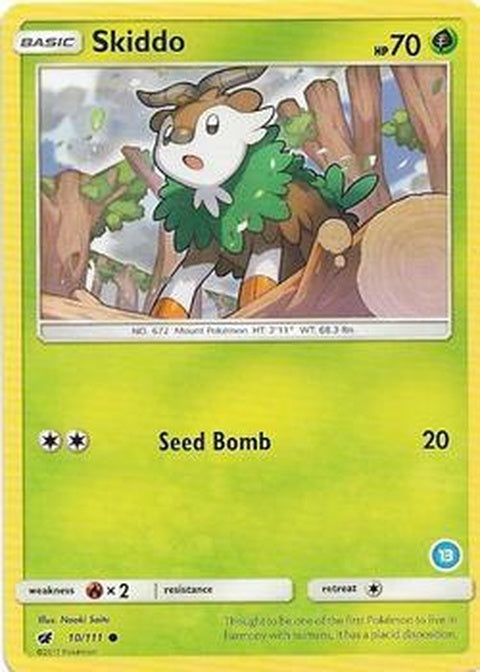 10-skiddo-13