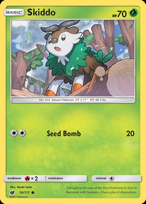 10-skiddo