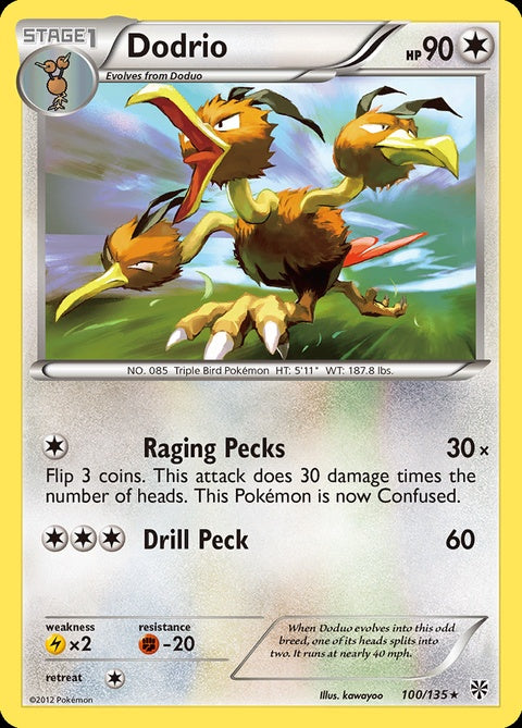 100-dodrio