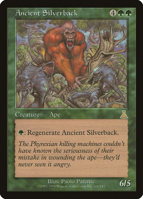 101-ancientsilverback