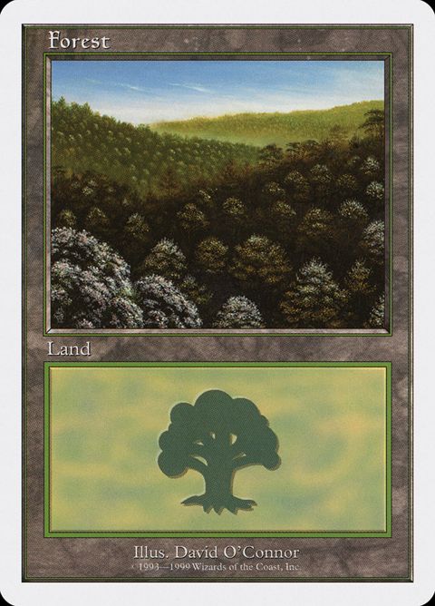 101-forest