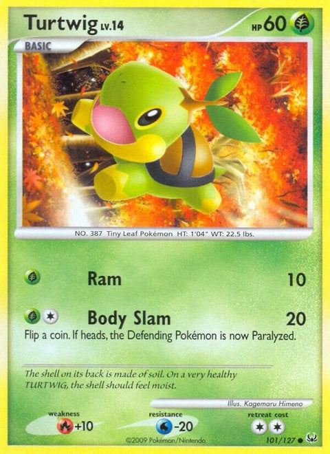101-turtwig