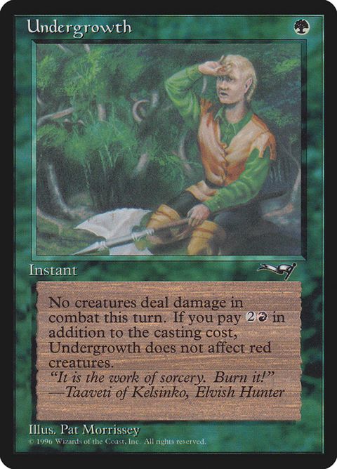102a-undergrowth