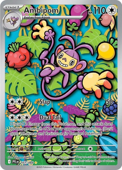 107-ambipom