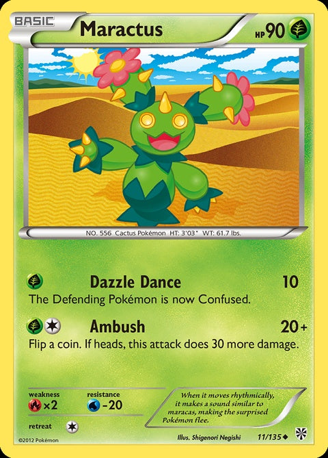 11-maractus
