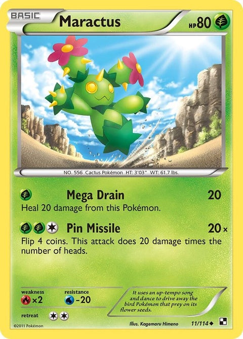11-maractus