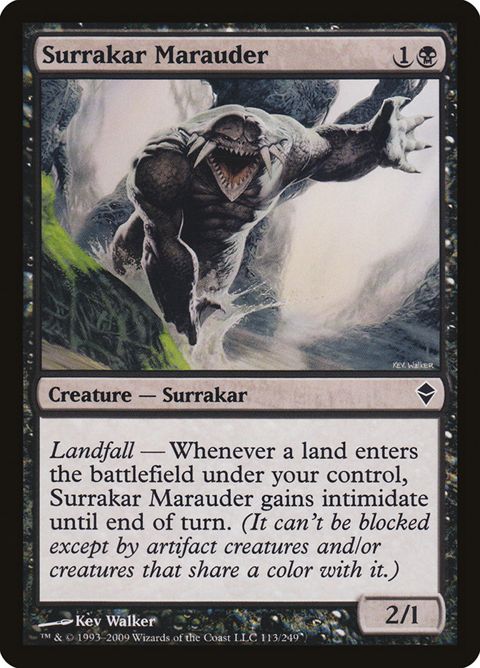 113-surrakarmarauder