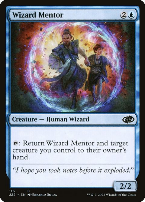 116-wizardmentor