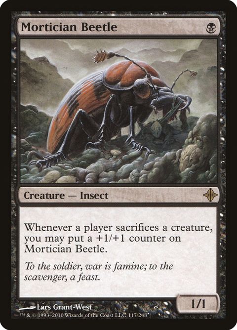 117-morticianbeetle