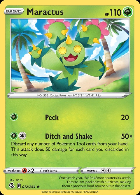 12-maractus