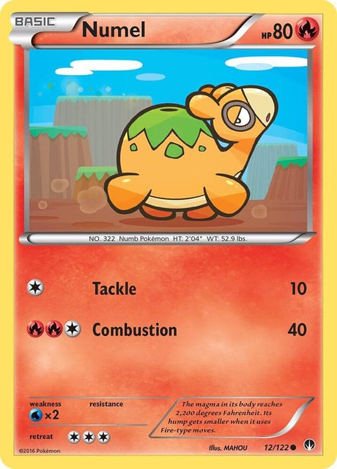 12-numel