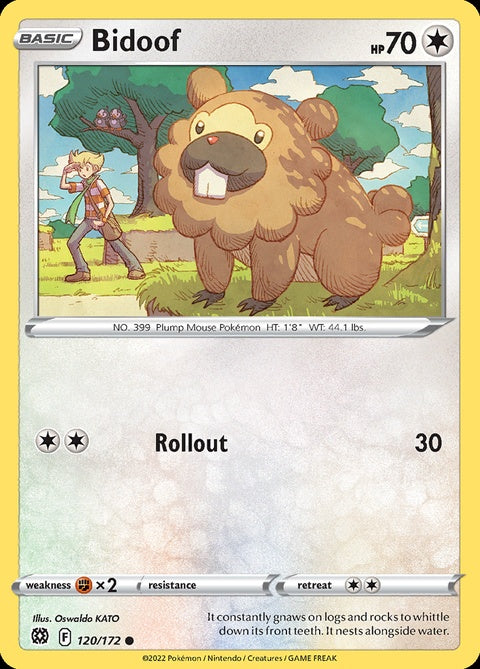 120-bidoof