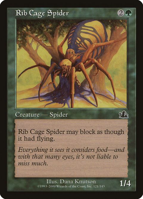 121-ribcagespider