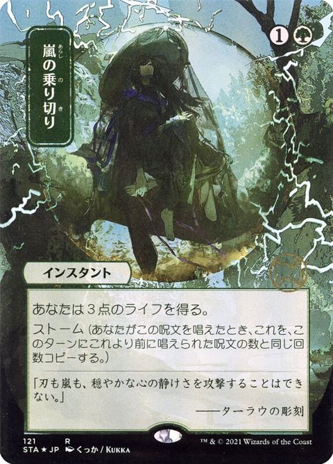 121-weatherthestorm