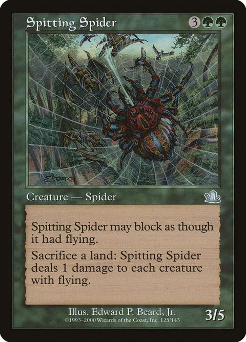 125-spittingspider