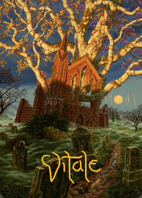 13-abundantgrowthabundantgrowth