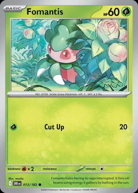 13-fomantis