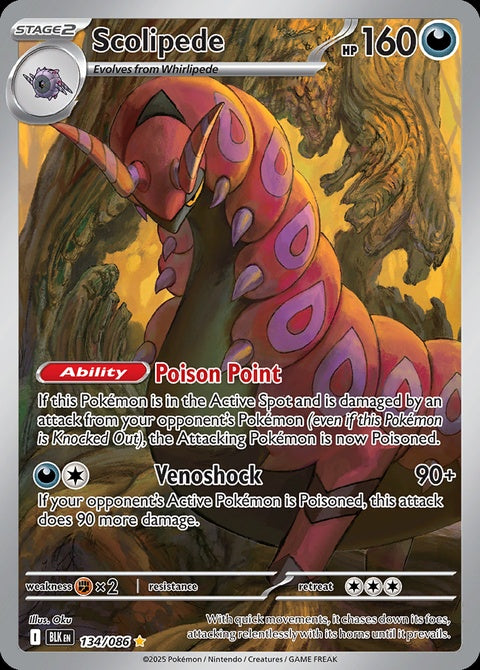 134-scolipede