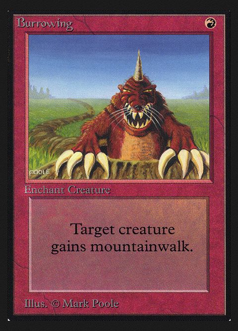 139-burrowing