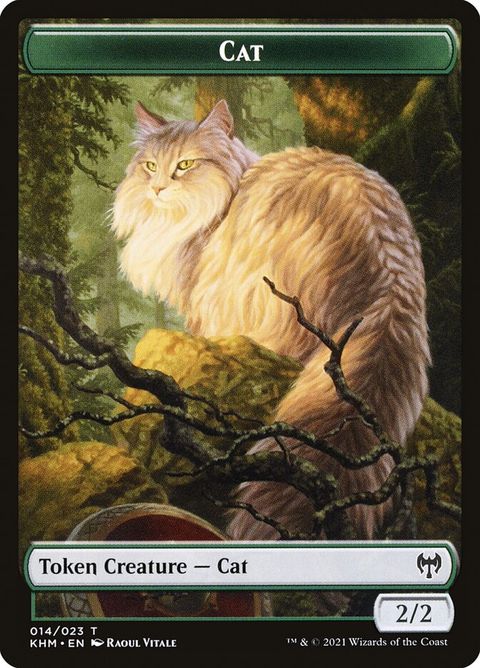 14-cat