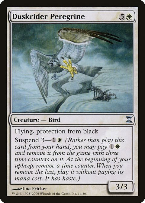 14-duskriderperegrine