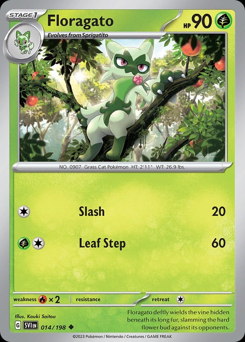 14-floragato