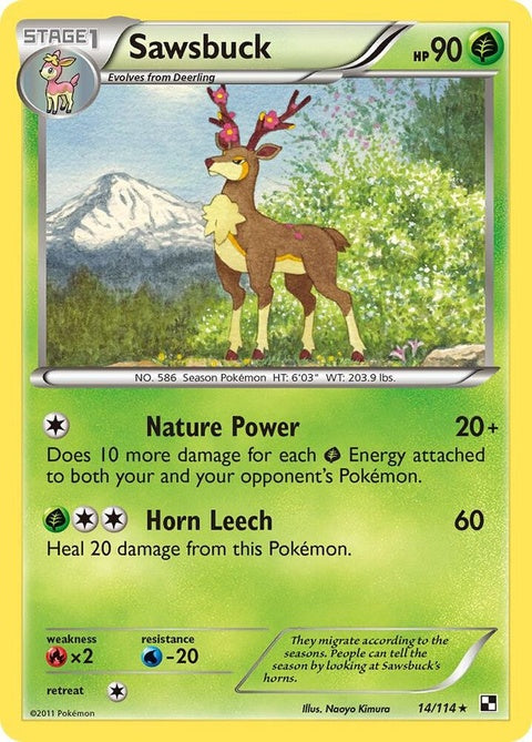 14-sawsbuck