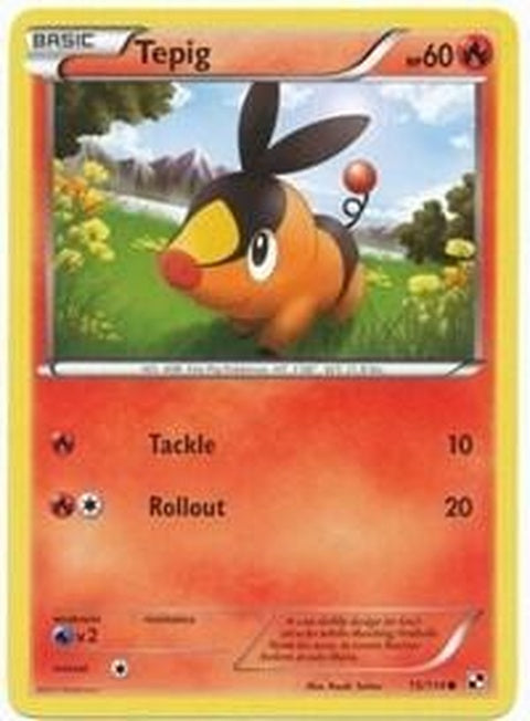 15-tepig15114-cosmosholo