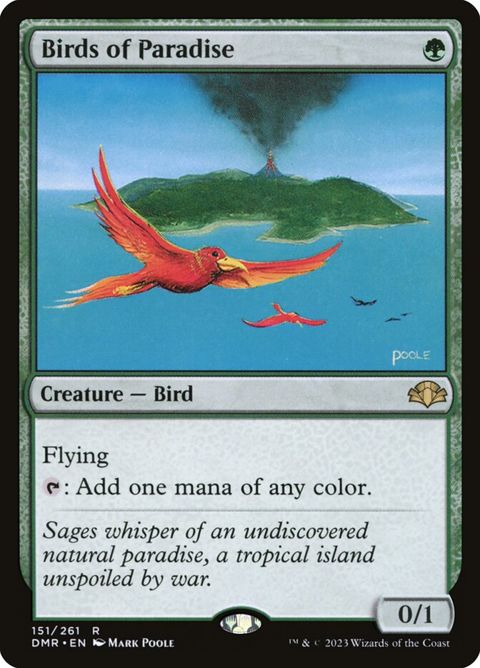 151-birdsofparadise