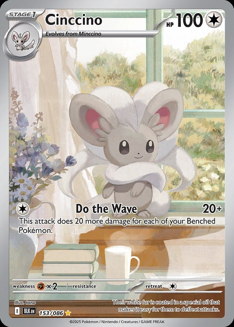 153-cinccino