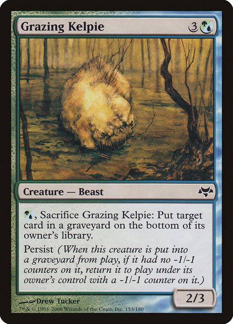 153-grazingkelpie