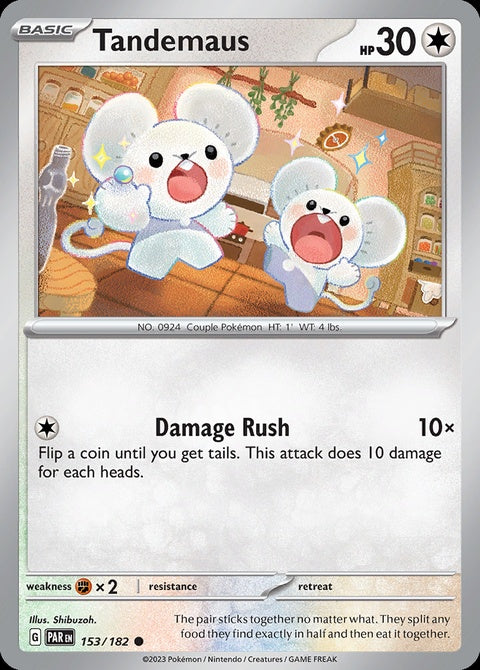 153-tandemaus