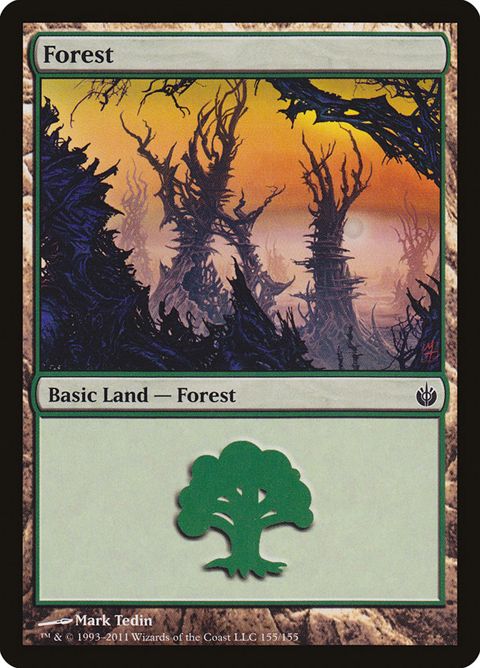 155-forest