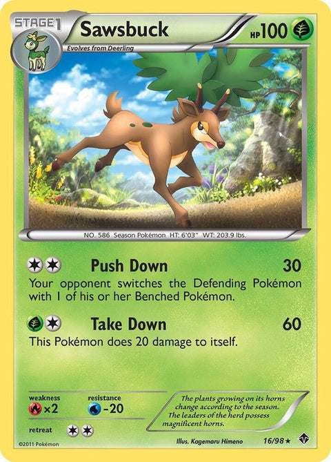 16-sawsbuck