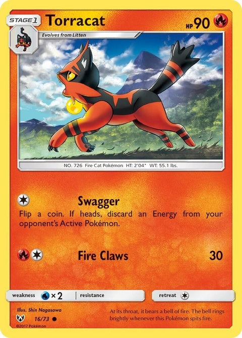 16-torracat