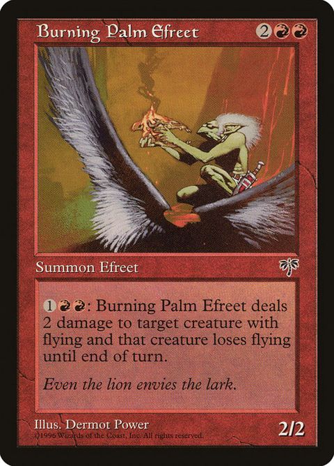 161-burningpalmefreet