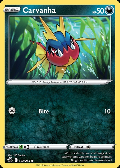 162-carvanha