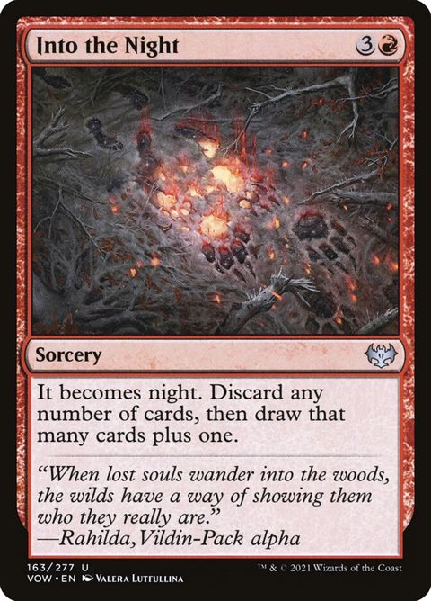 163-intothenight