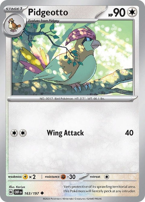 163-pidgeotto