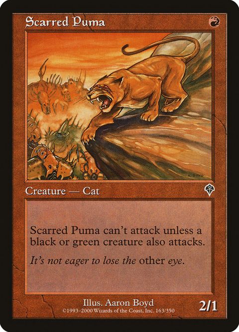 163-scarredpuma