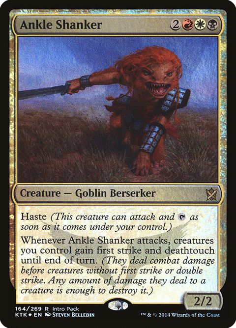 164-ankleshanker
