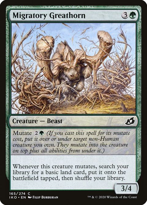 165-migratorygreathorn