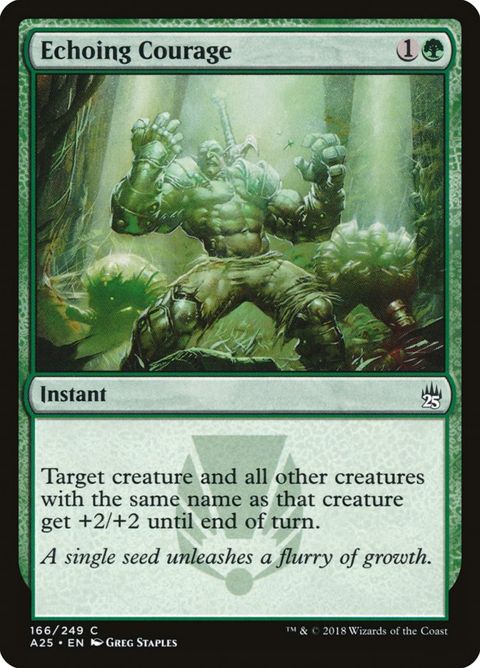166-echoingcourage