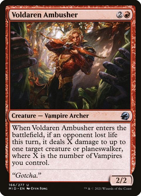 166-voldarenambusher